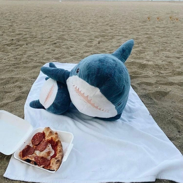 Shark Plush Toy