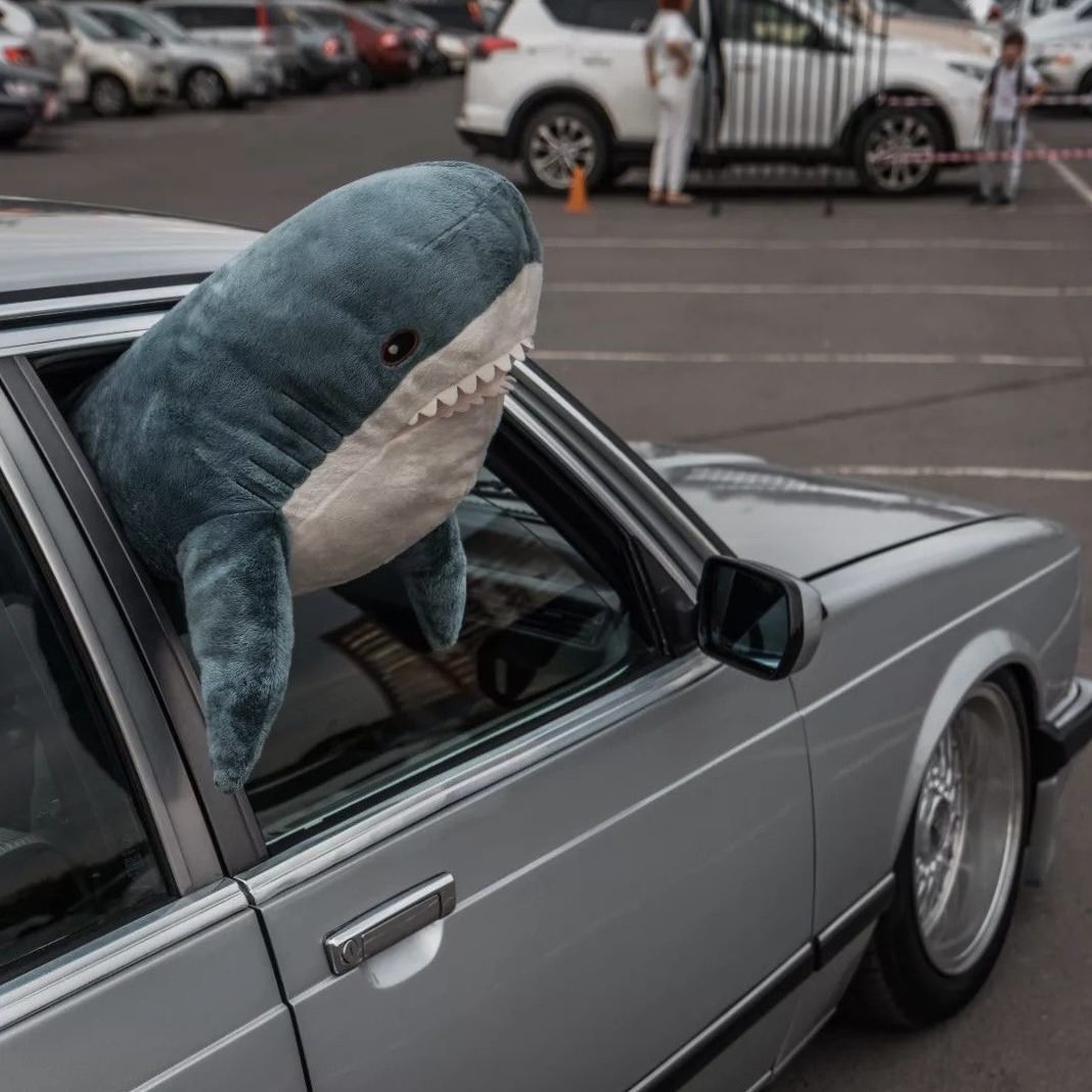 Shark Plush Toy